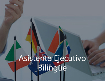 asistente