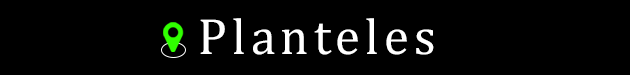 Plantles