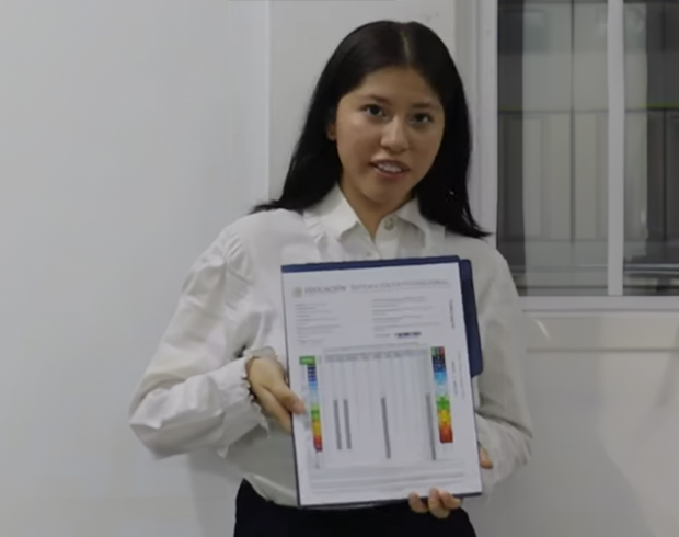 Video Image